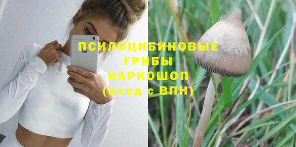 экстази Богданович