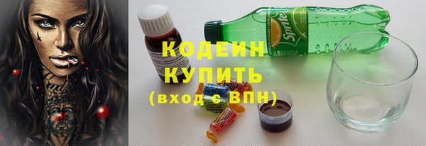 дживик Богородицк