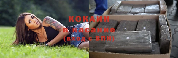 дживик Богородицк