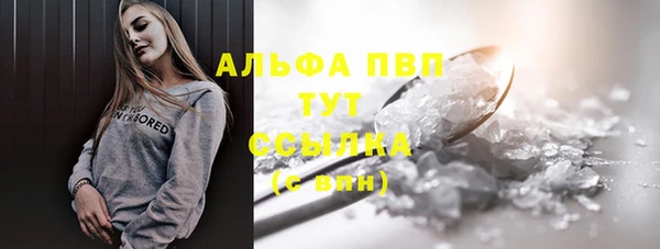 дживик Богородицк