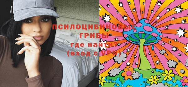 синтетический гашиш Богородск