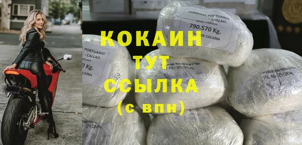 дживик Богородицк
