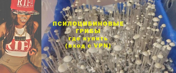 синтетический гашиш Богородск