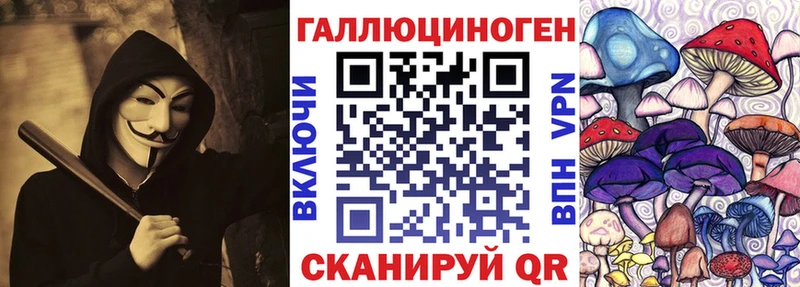 Псилоцибиновые грибы Psilocybe  blacksprut зеркало  Чишмы 